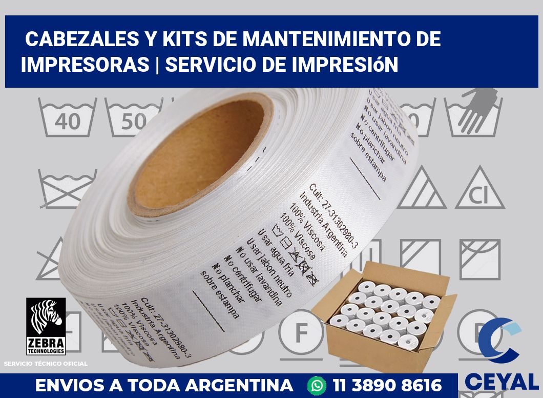 Cabezales y kits de mantenimiento de impresoras | Servicio de impresión