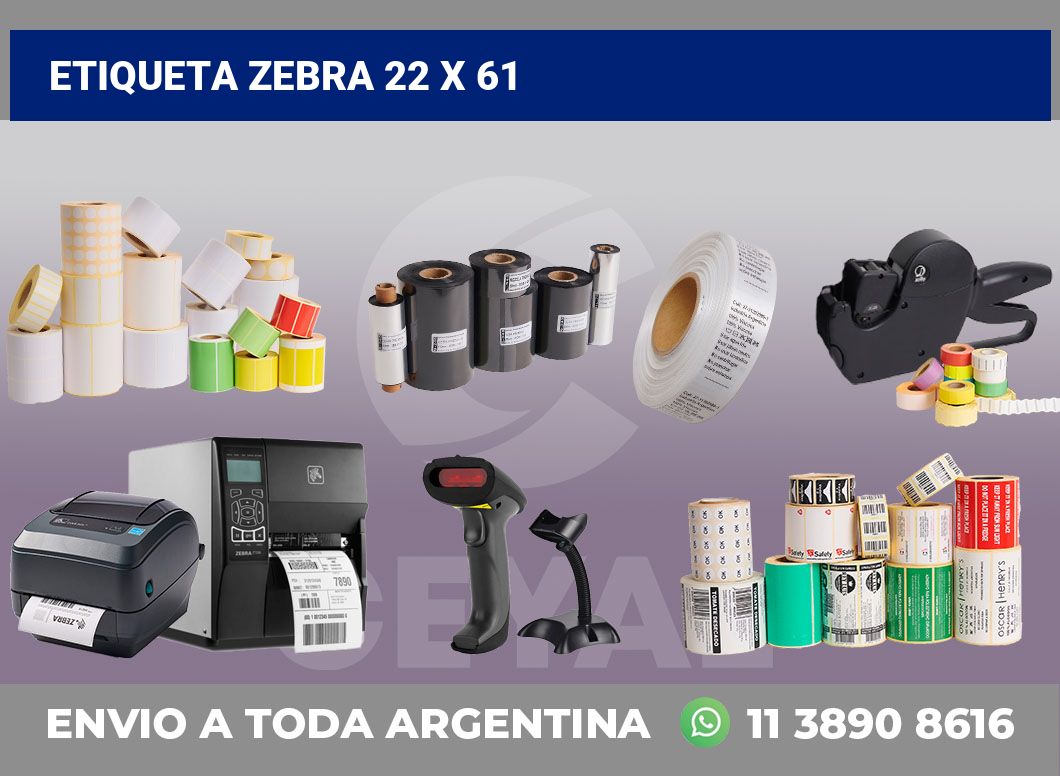 etiqueta zebra 22 x 61