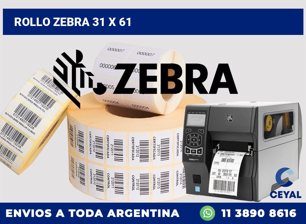 rollo zebra 31 x 61