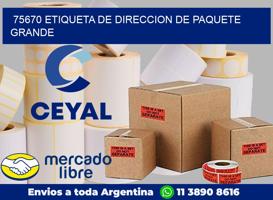 75670 Etiqueta de direccion de paquete grande