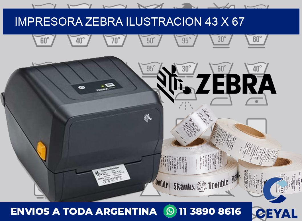Impresora Zebra ilustracion 43 x 67