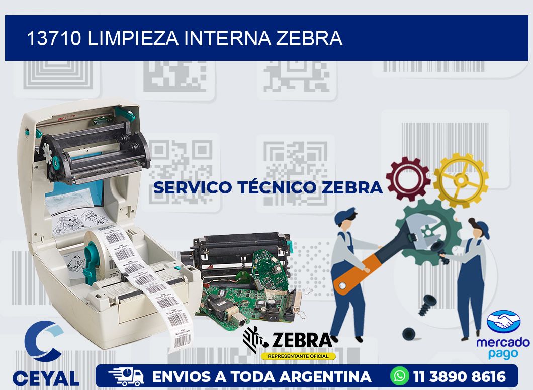13710 LIMPIEZA INTERNA ZEBRA