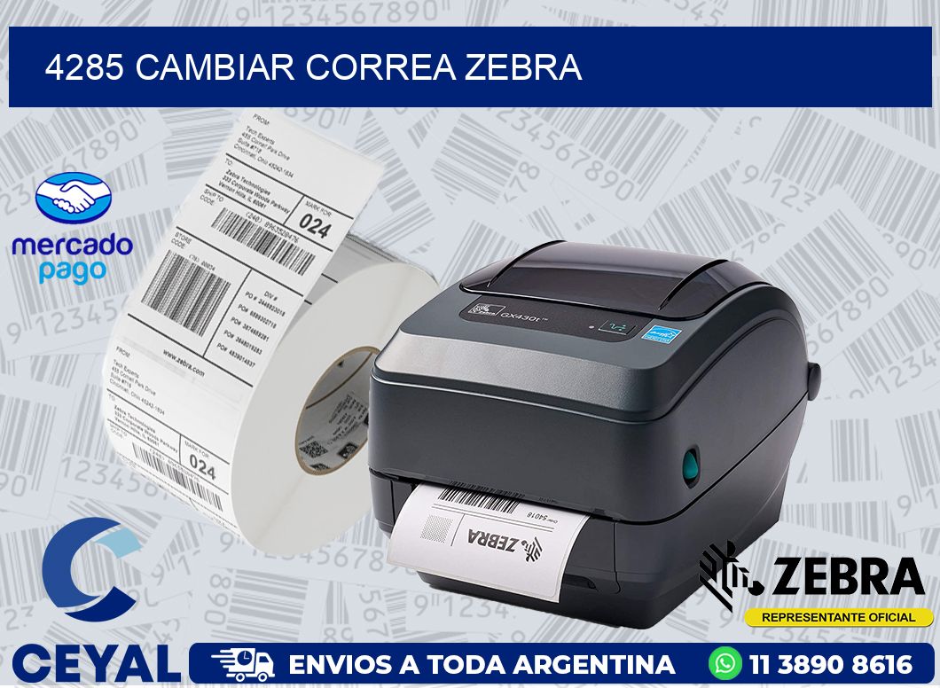 4285 CAMBIAR CORREA ZEBRA