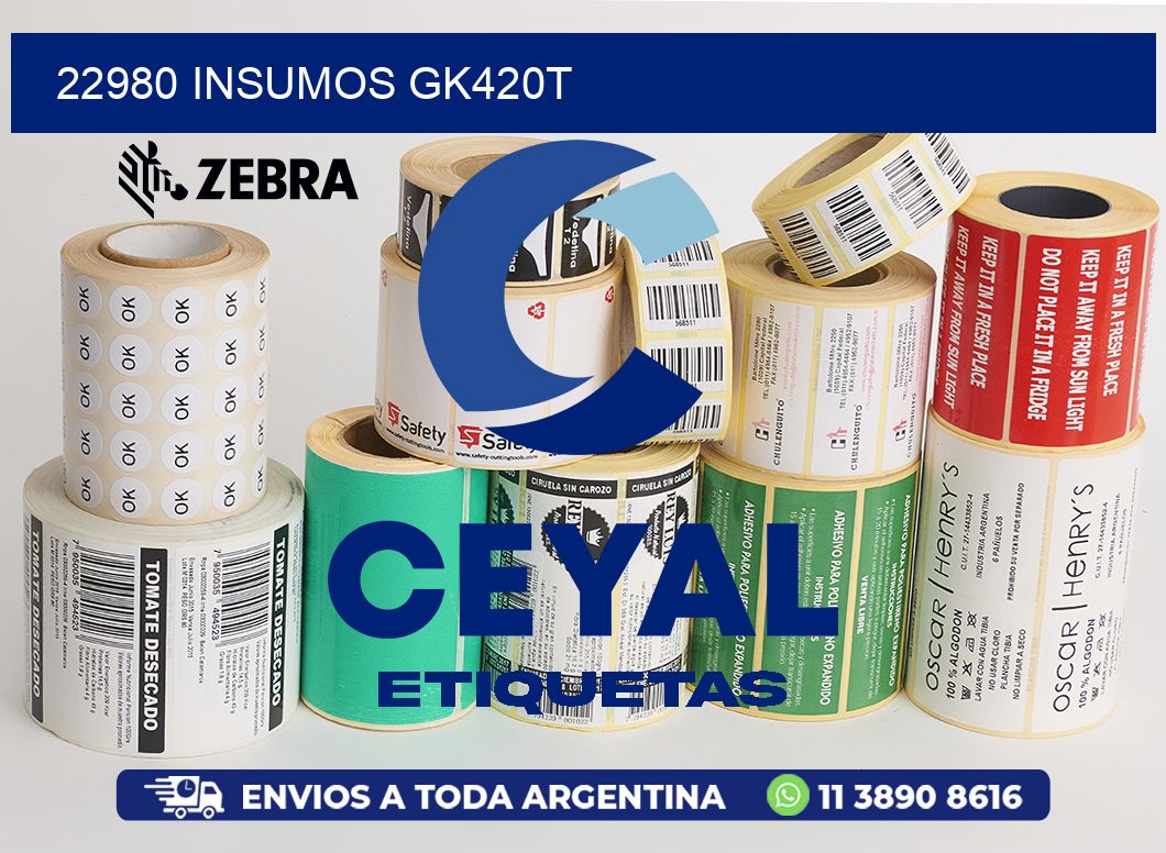 22980 INSUMOS GK420T