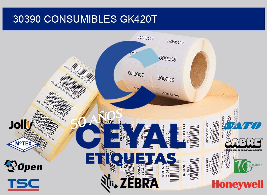 30390 CONSUMIBLES GK420T
