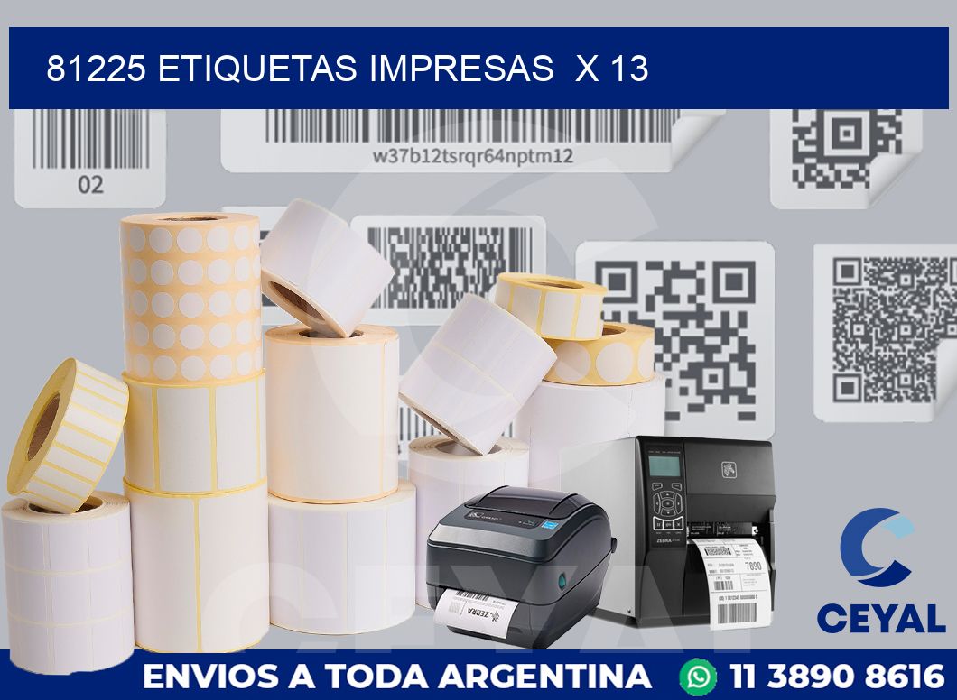 81225 Etiquetas impresas  x 13