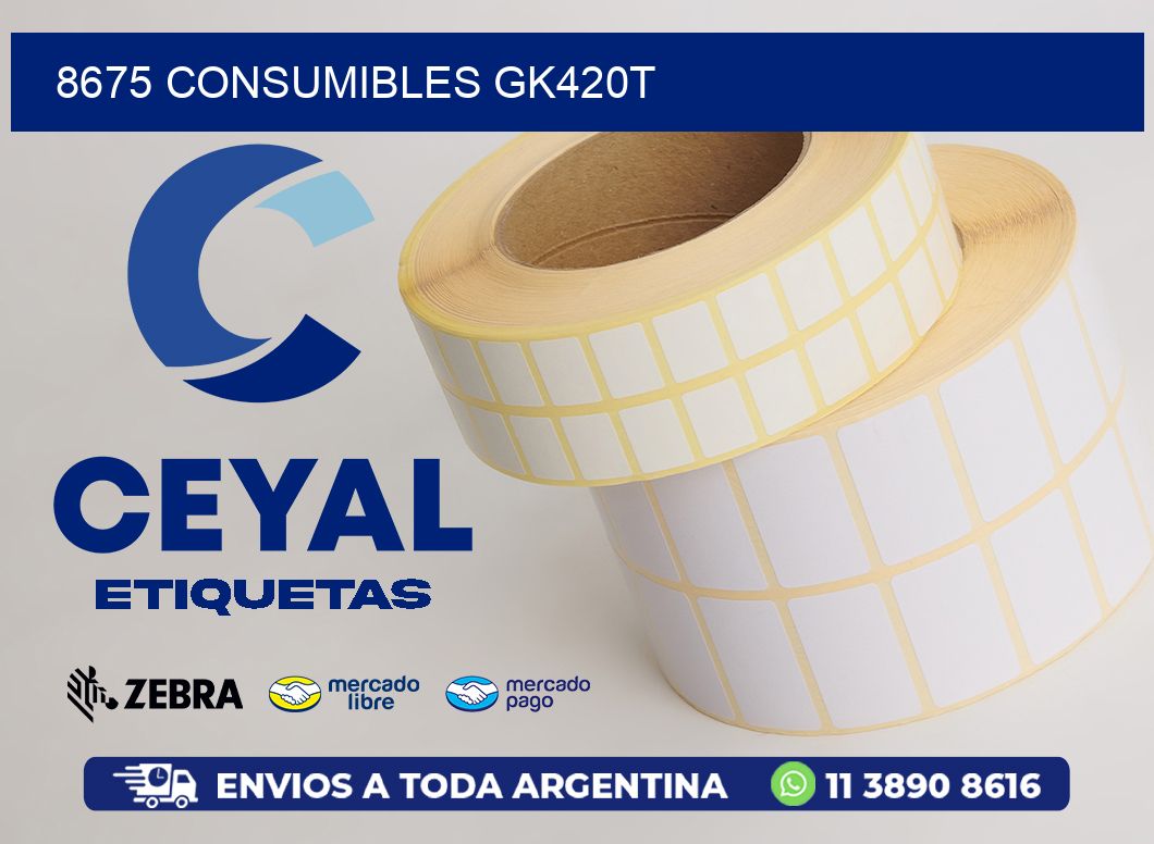 8675 CONSUMIBLES GK420T