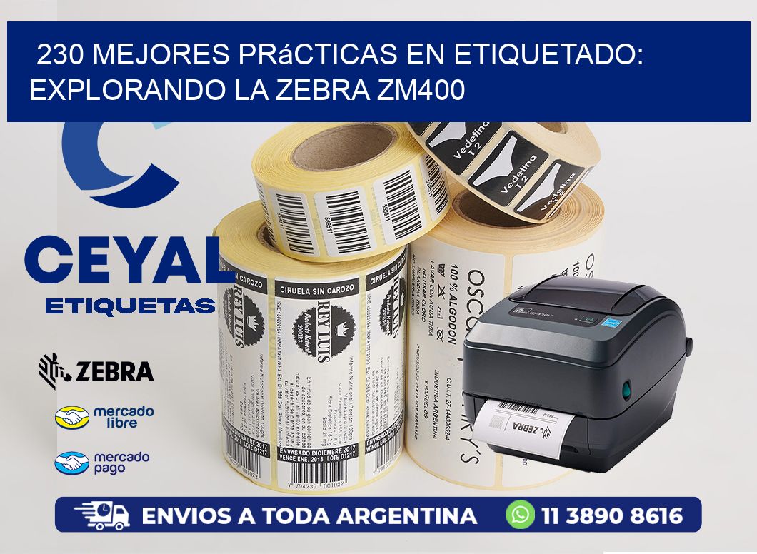 230 Mejores Prácticas en Etiquetado: Explorando la Zebra ZM400