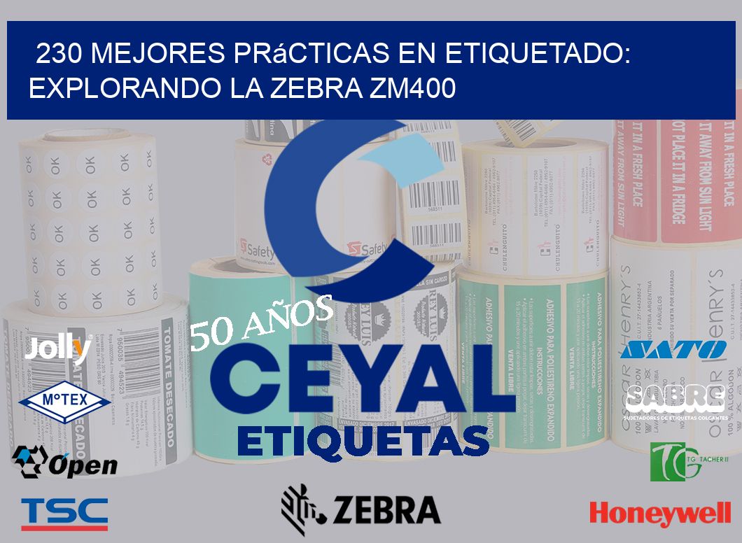230 Mejores Prácticas en Etiquetado: Explorando la Zebra ZM400