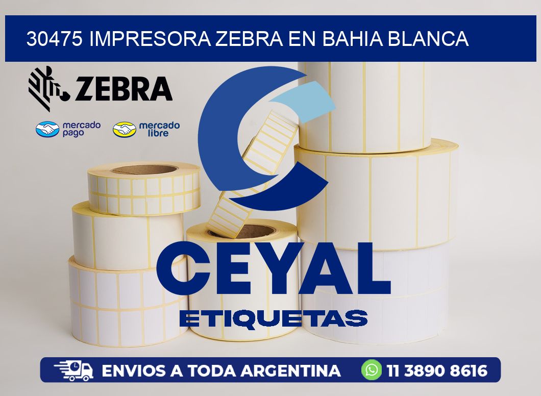 30475 IMPRESORA ZEBRA EN BAHIA BLANCA
