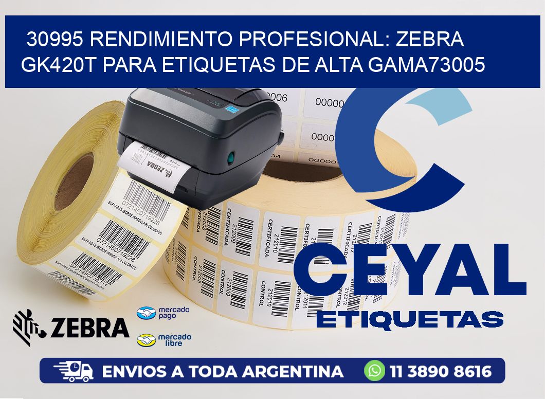 30995 Rendimiento Profesional: Zebra GK420T para Etiquetas de Alta Gama73005