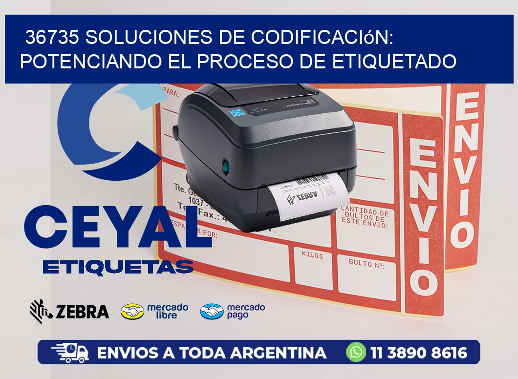 36735 Soluciones de Codificación: Potenciando el Proceso de Etiquetado