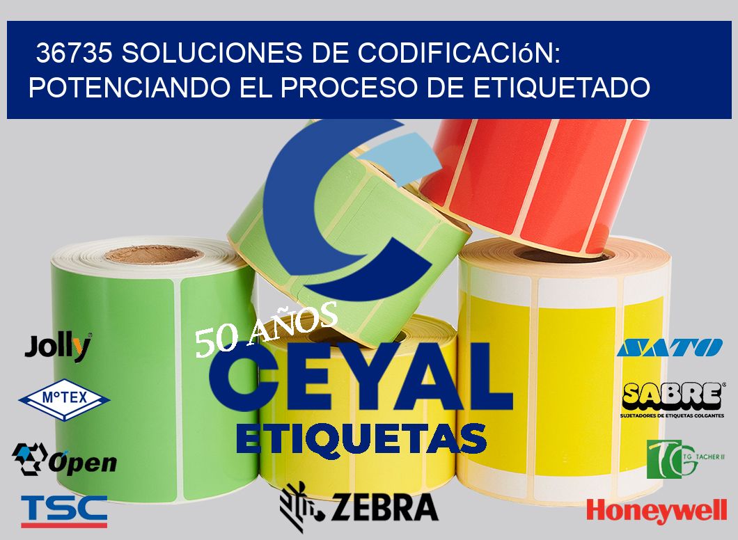 36735 Soluciones de Codificación: Potenciando el Proceso de Etiquetado
