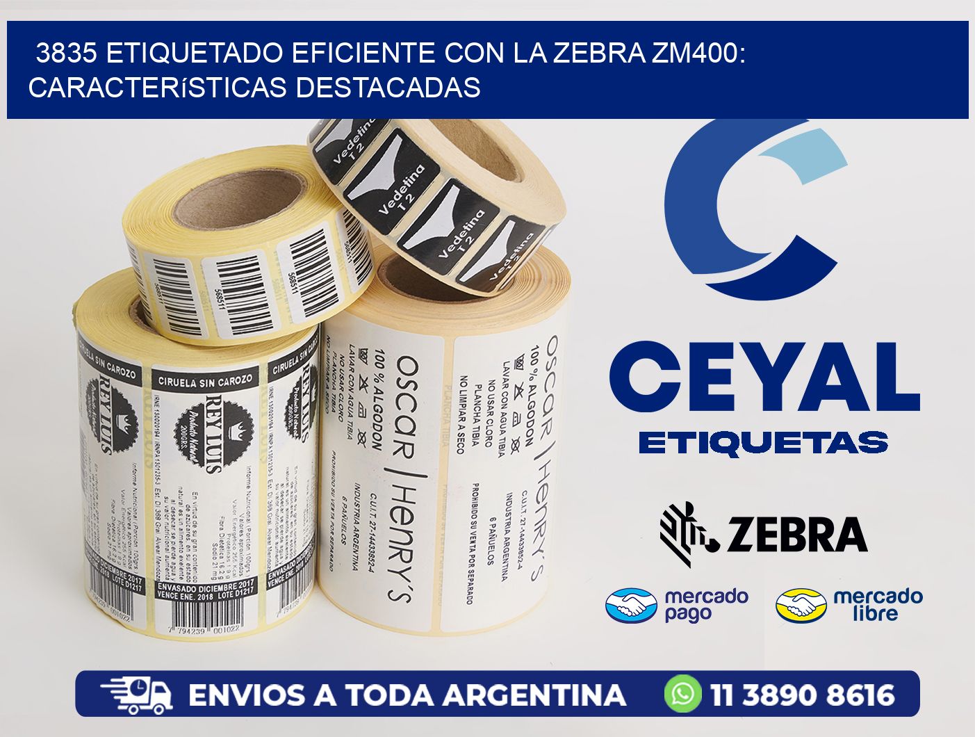 3835 Etiquetado Eficiente con la Zebra ZM400: Características Destacadas