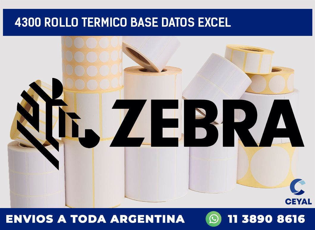 4300 rollo termico base datos excel