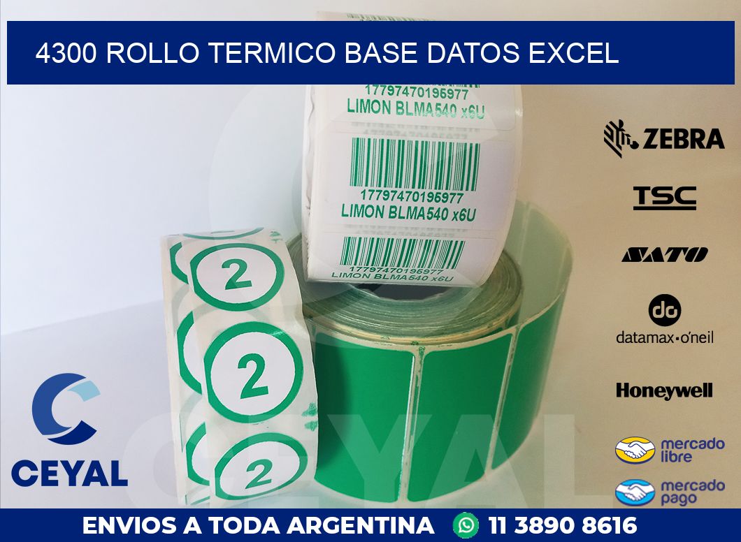 4300 rollo termico base datos excel