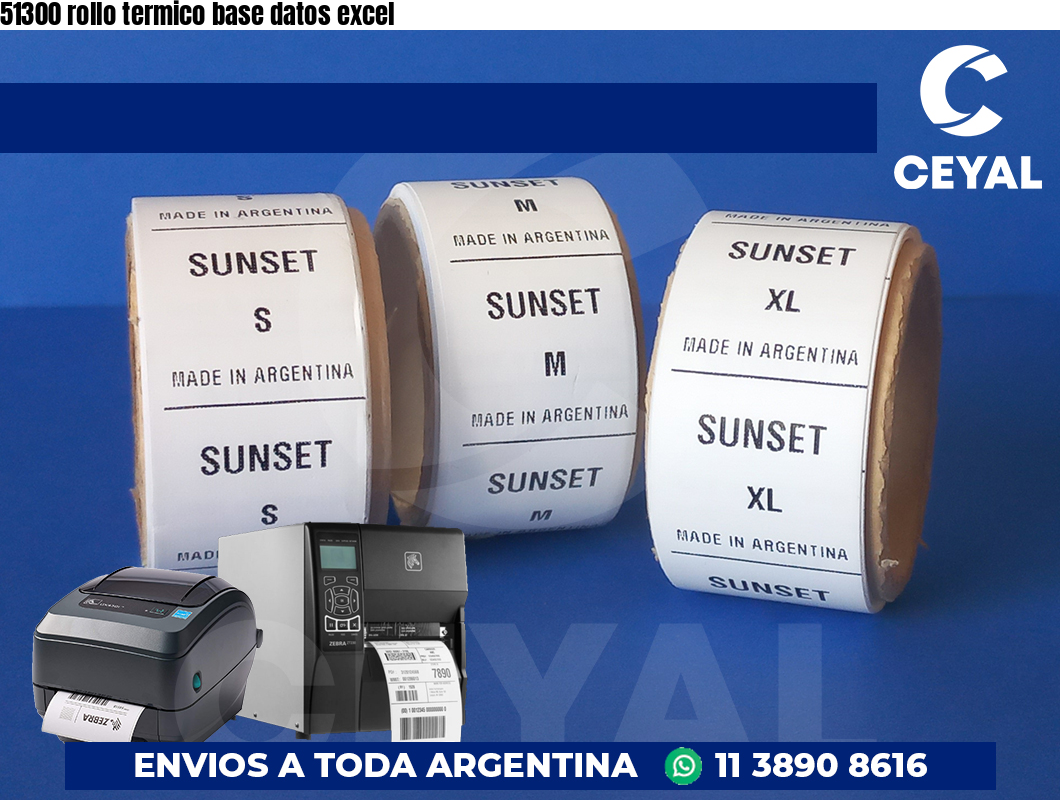 51300 rollo termico base datos excel