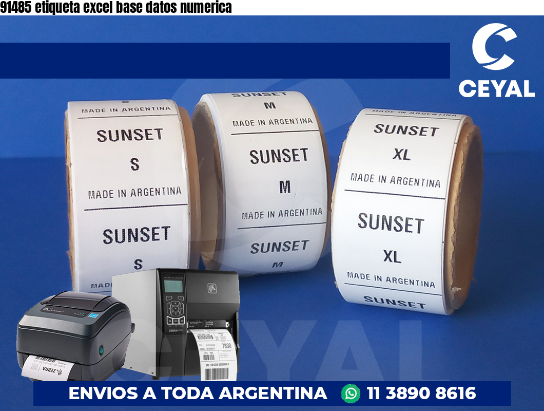 91485 etiqueta excel base datos numerica