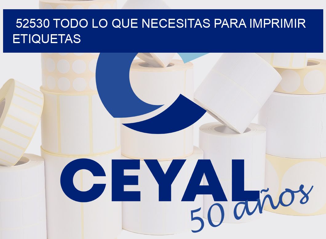 52530 TODO LO QUE NECESITAS PARA IMPRIMIR ETIQUETAS