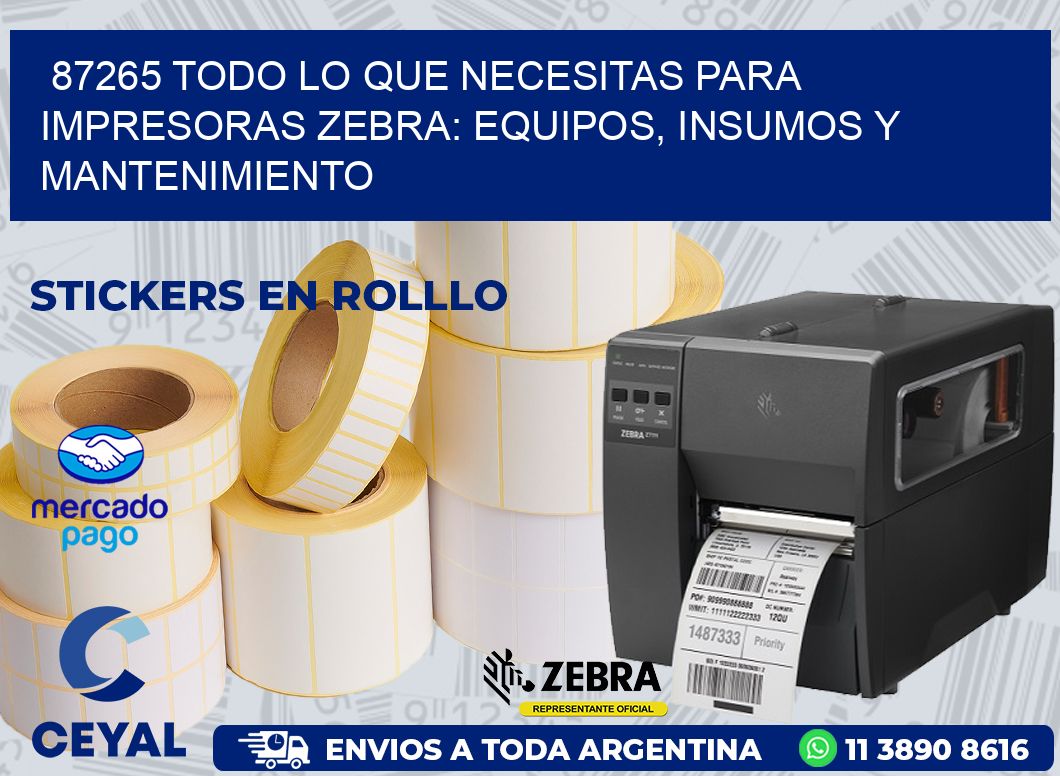 87265 TODO LO QUE NECESITAS PARA IMPRESORAS ZEBRA: EQUIPOS, INSUMOS Y MANTENIMIENTO