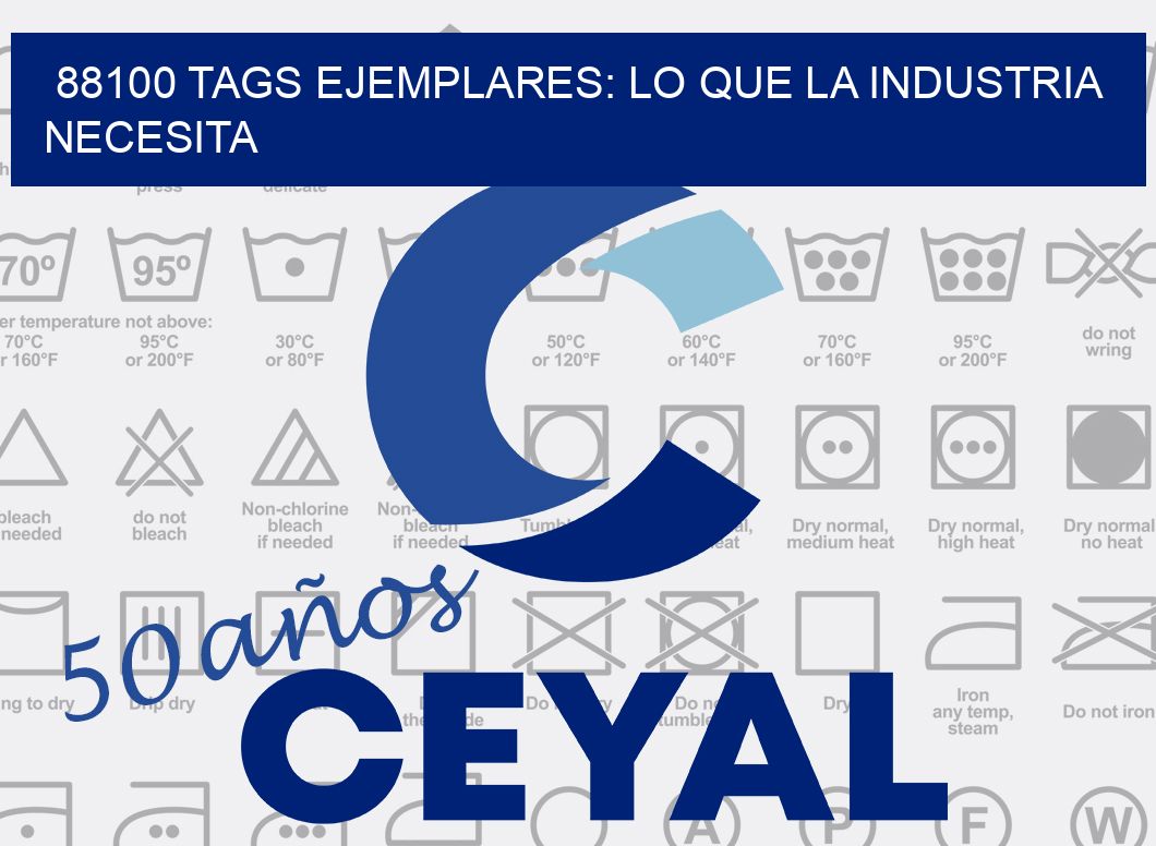 88100 TAGS EJEMPLARES: LO QUE LA INDUSTRIA NECESITA