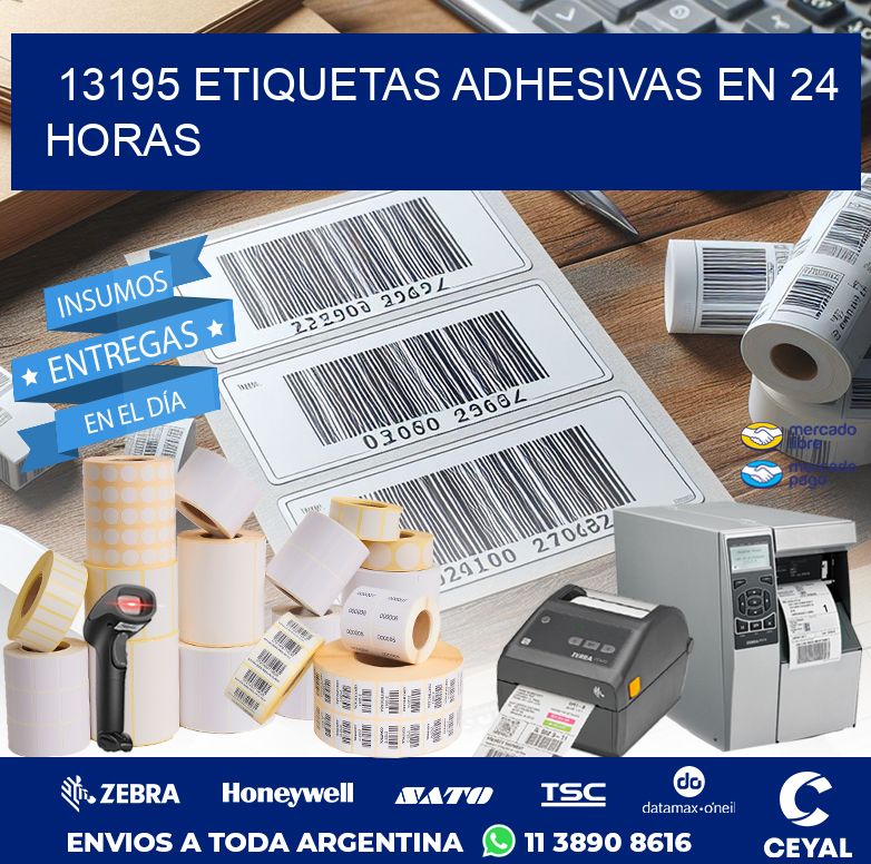 13195 ETIQUETAS ADHESIVAS EN 24 HORAS