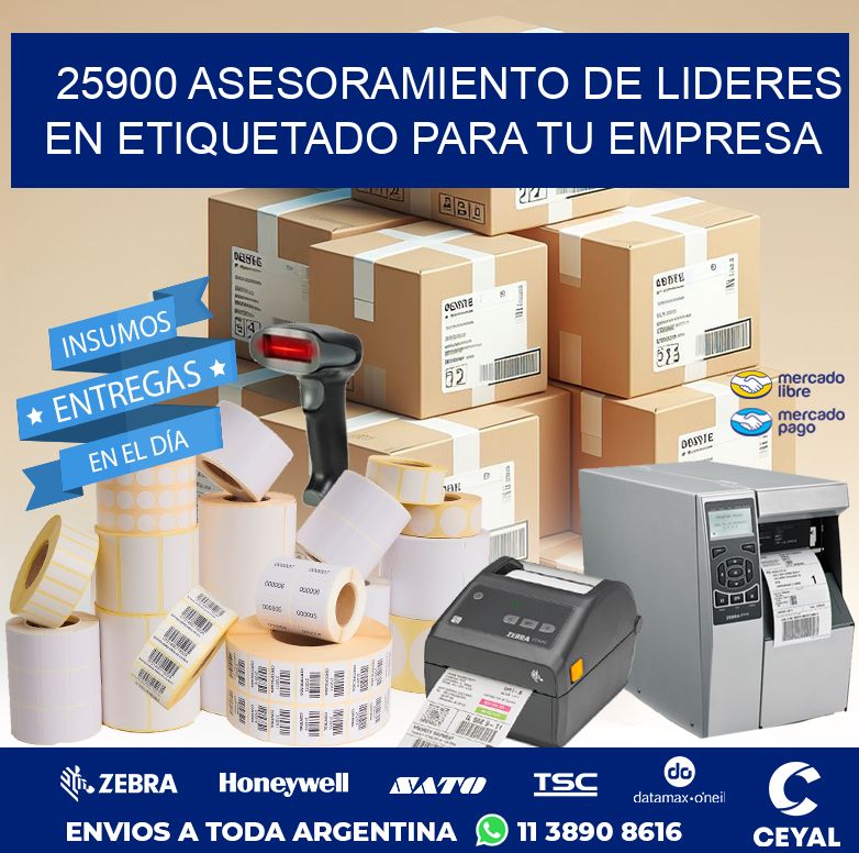 25900 ASESORAMIENTO DE LIDERES EN ETIQUETADO PARA TU EMPRESA