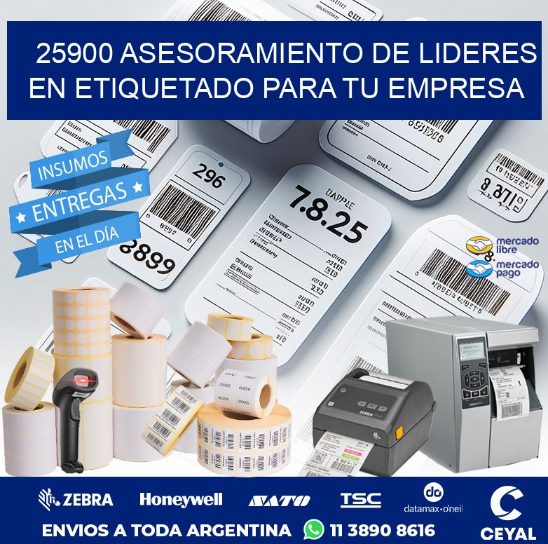 25900 ASESORAMIENTO DE LIDERES EN ETIQUETADO PARA TU EMPRESA
