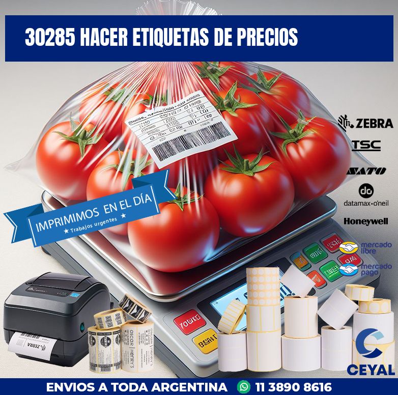 30285 HACER ETIQUETAS DE PRECIOS