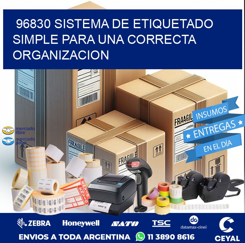 96830 SISTEMA DE ETIQUETADO SIMPLE PARA UNA CORRECTA ORGANIZACION