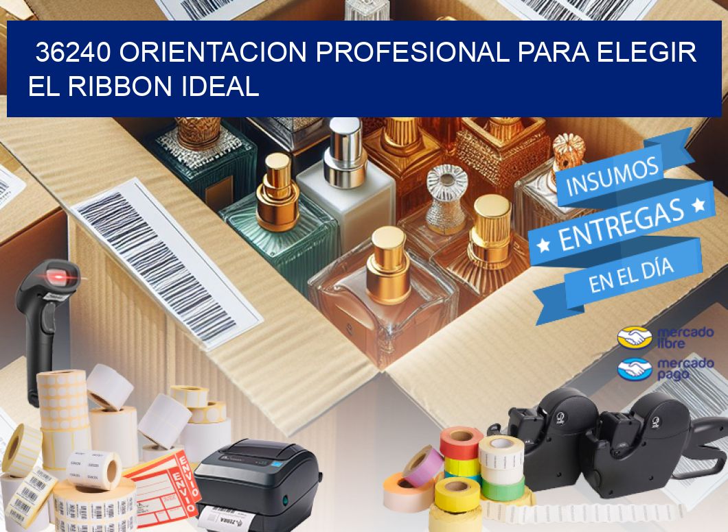 36240 ORIENTACION PROFESIONAL PARA ELEGIR EL RIBBON IDEAL
