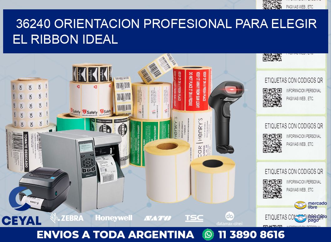 36240 ORIENTACION PROFESIONAL PARA ELEGIR EL RIBBON IDEAL