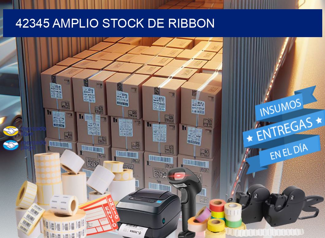 42345 AMPLIO STOCK DE RIBBON