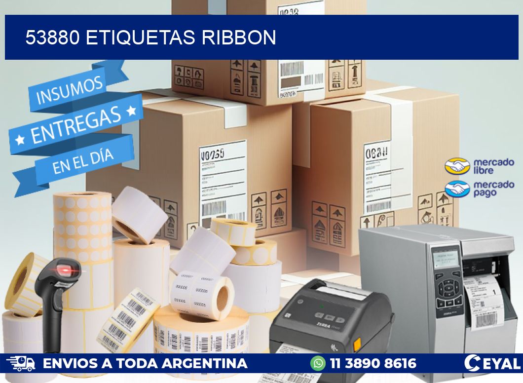 53880 ETIQUETAS RIBBON