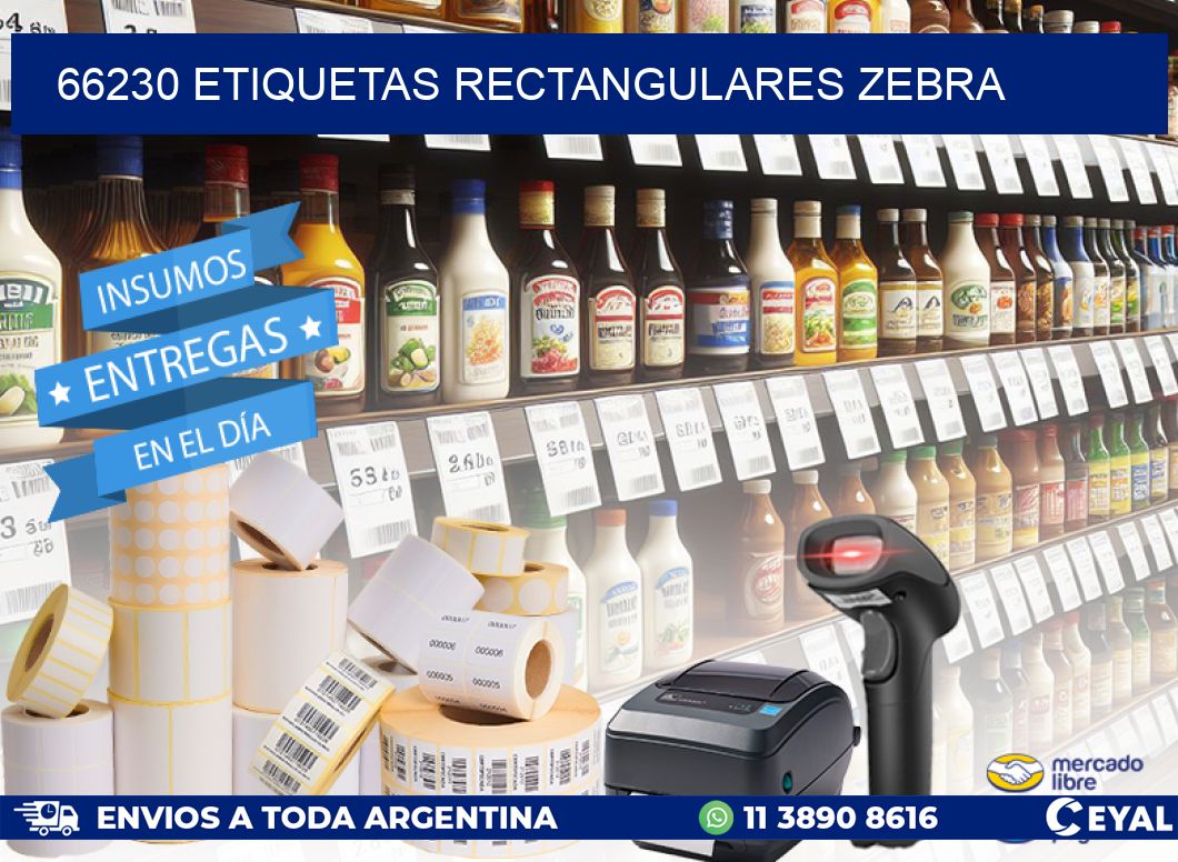 66230 etiquetas rectangulares zebra
