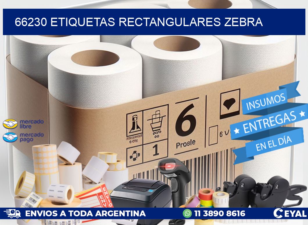 66230 etiquetas rectangulares zebra
