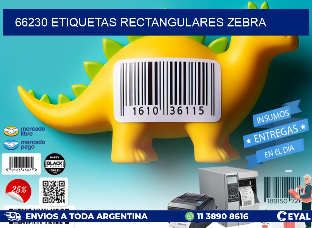 66230 etiquetas rectangulares zebra