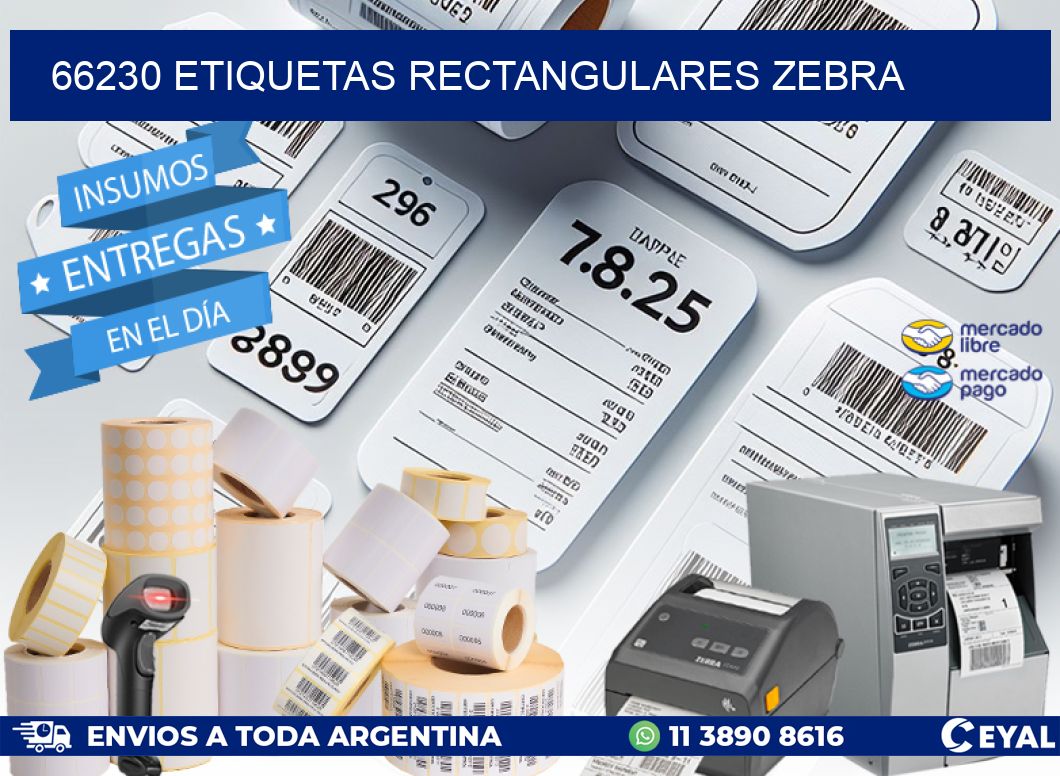 66230 etiquetas rectangulares zebra