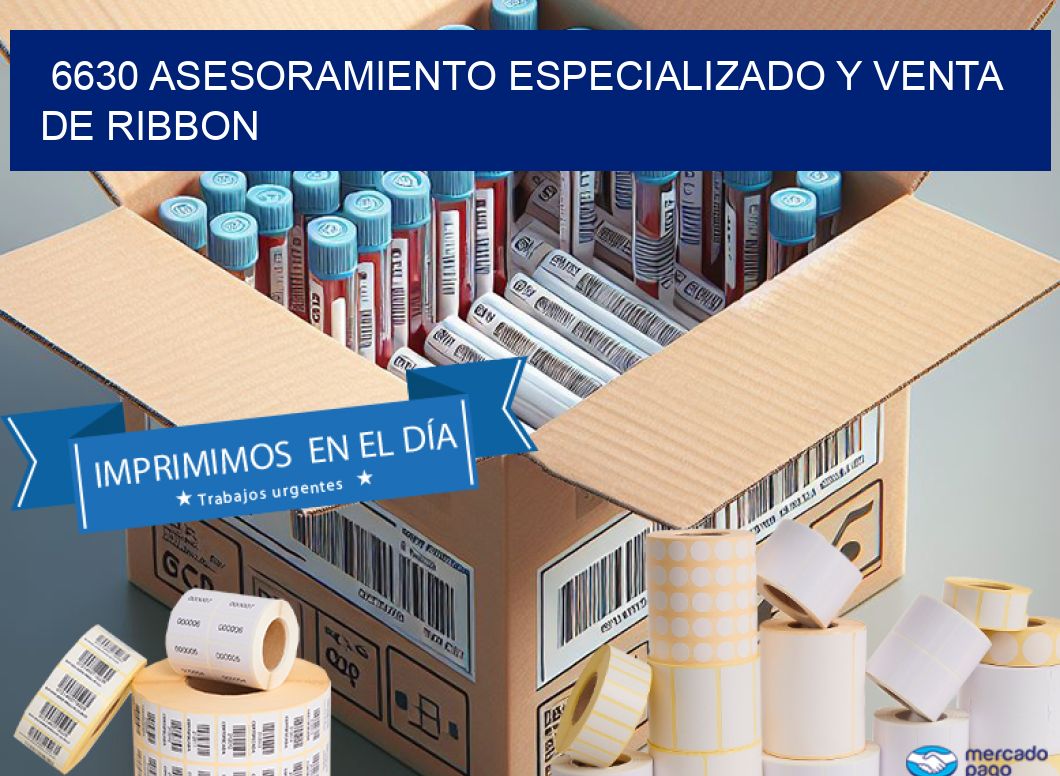 6630 ASESORAMIENTO ESPECIALIZADO Y VENTA DE RIBBON