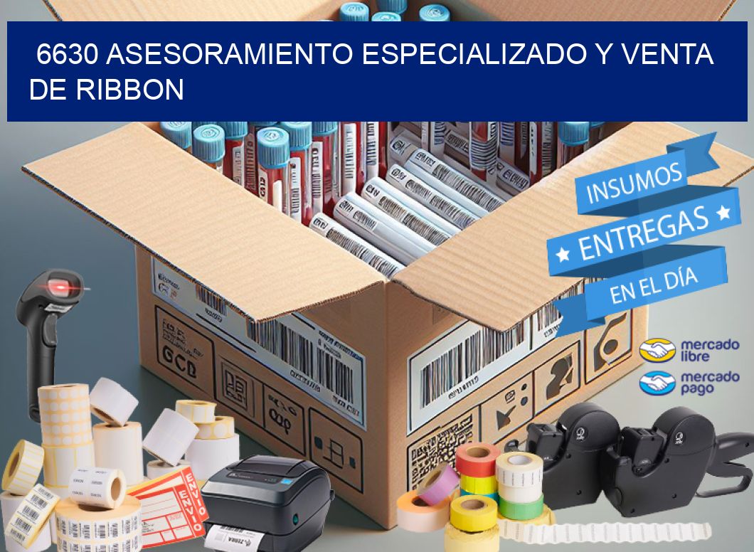 6630 ASESORAMIENTO ESPECIALIZADO Y VENTA DE RIBBON