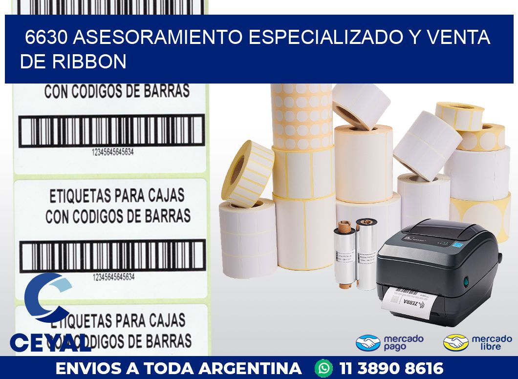 6630 ASESORAMIENTO ESPECIALIZADO Y VENTA DE RIBBON
