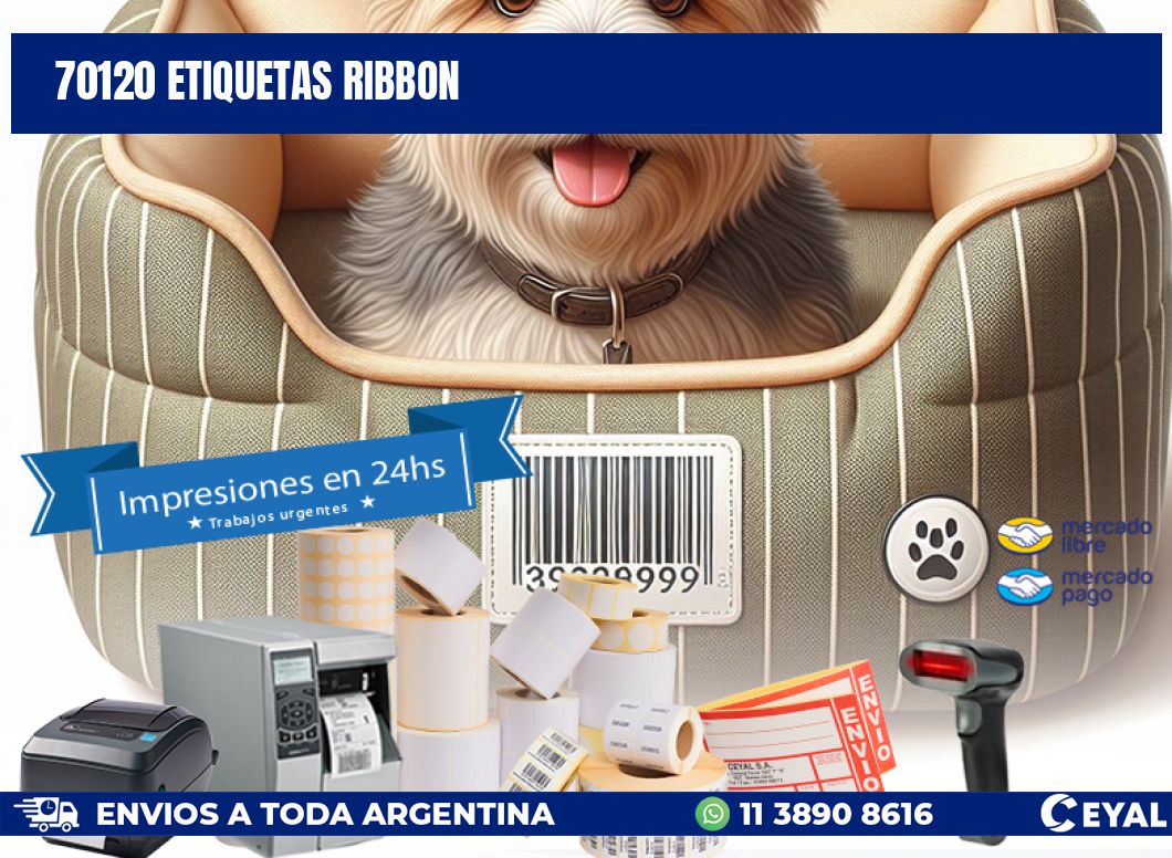 70120 ETIQUETAS RIBBON