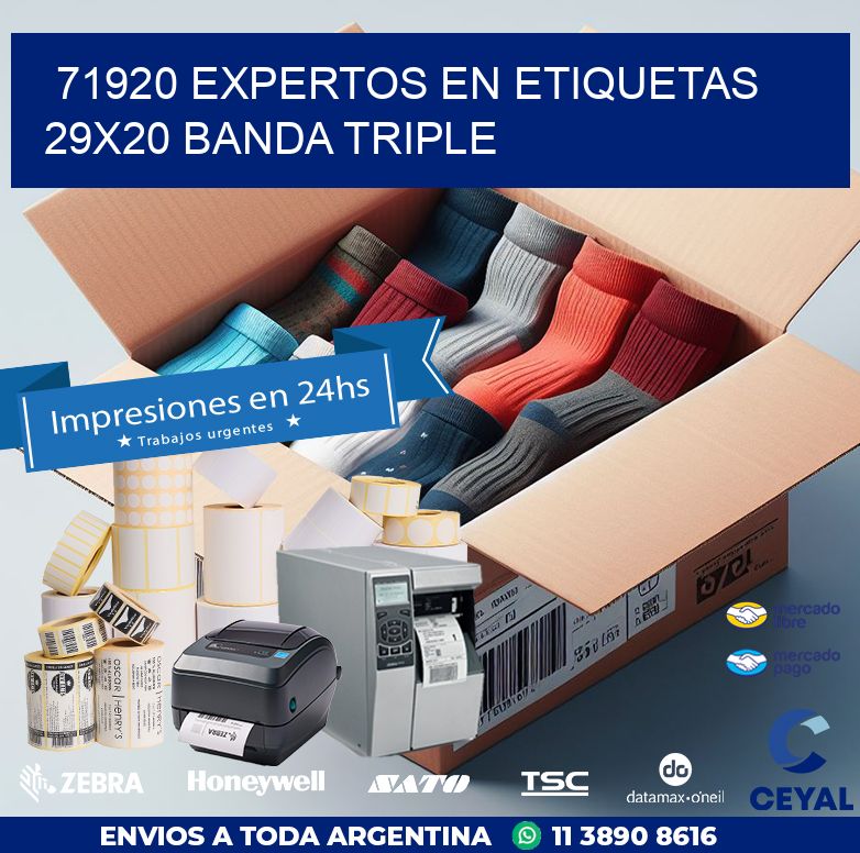 71920 EXPERTOS EN ETIQUETAS 29X20 BANDA TRIPLE