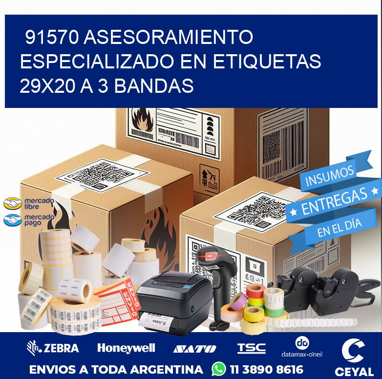 91570 ASESORAMIENTO ESPECIALIZADO EN ETIQUETAS 29X20 A 3 BANDAS