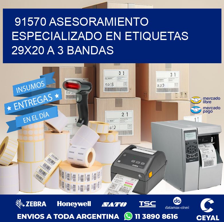 91570 ASESORAMIENTO ESPECIALIZADO EN ETIQUETAS 29X20 A 3 BANDAS