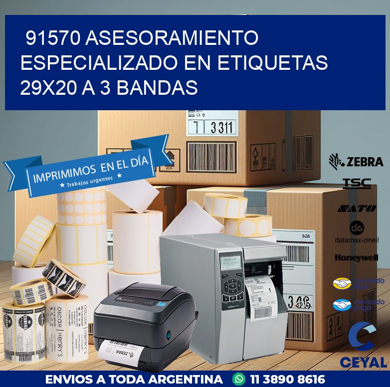 91570 ASESORAMIENTO ESPECIALIZADO EN ETIQUETAS 29X20 A 3 BANDAS