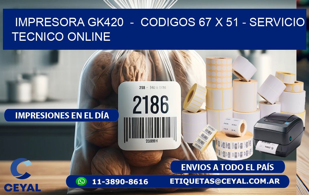 IMPRESORA GK420 - CODIGOS 67 x 51 - SERVICIO TECNICO ONLINE