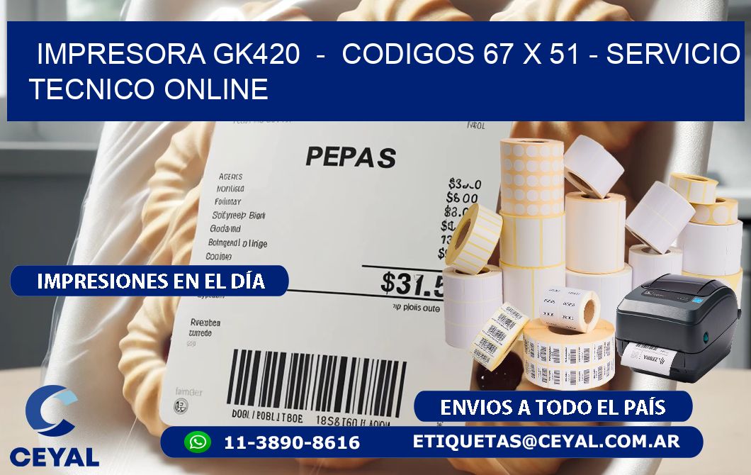 IMPRESORA GK420 - CODIGOS 67 x 51 - SERVICIO TECNICO ONLINE