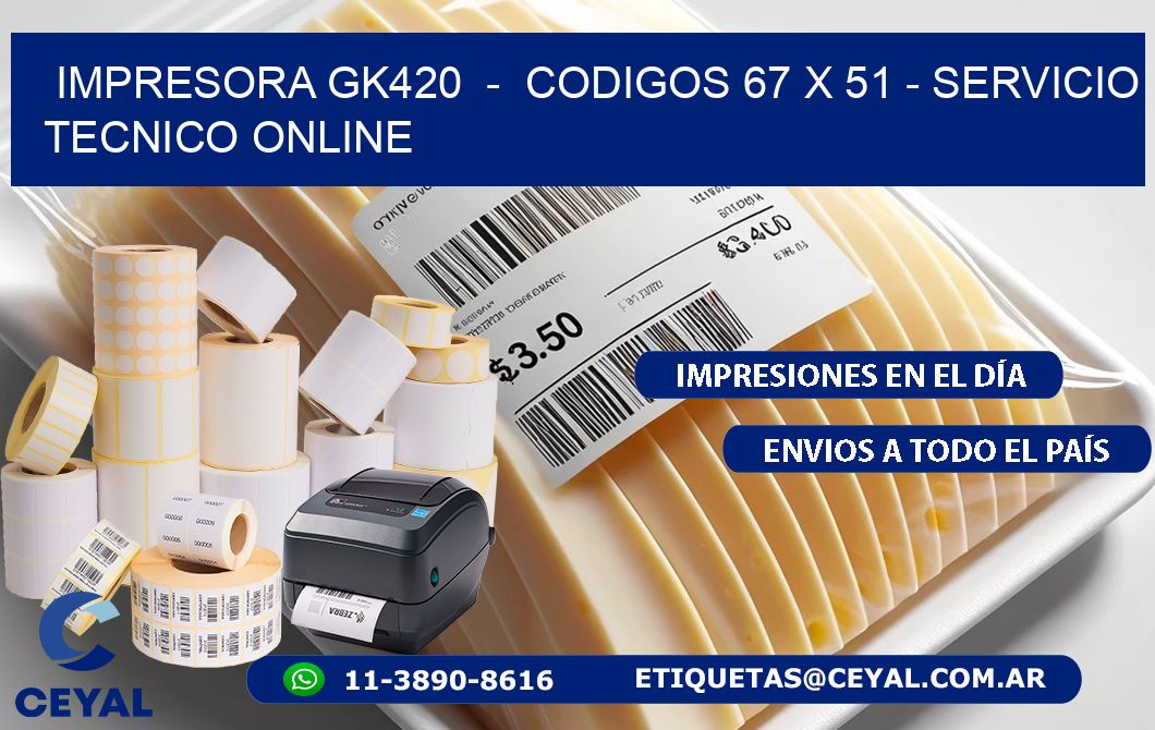 IMPRESORA GK420 - CODIGOS 67 x 51 - SERVICIO TECNICO ONLINE