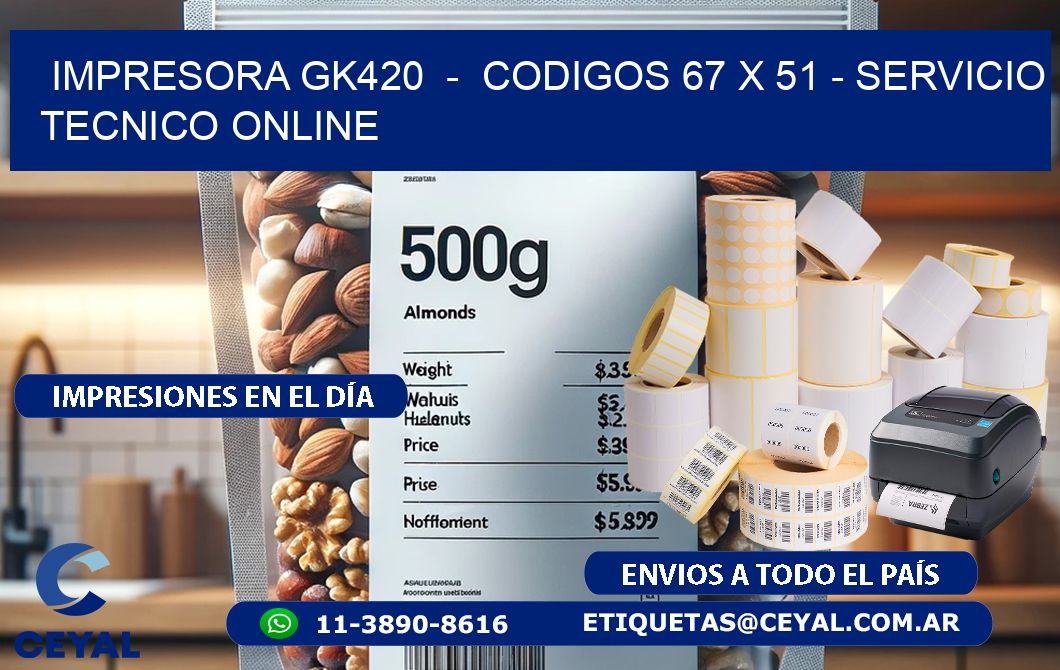 IMPRESORA GK420 - CODIGOS 67 x 51 - SERVICIO TECNICO ONLINE